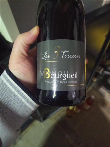 Loire Valley Bourgueil Les 3 Terroirs 2024