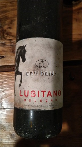 Alentejo Ervideira Lusitano Seleção 2016