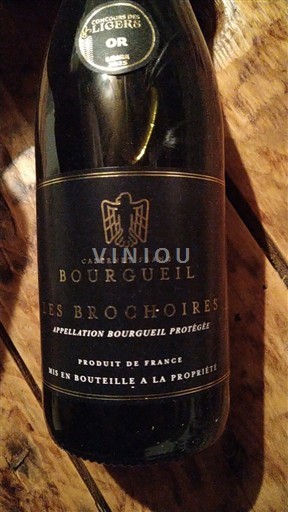 Valle del Loira Bourgueil Les Brochoires 2024