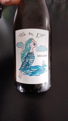 Loiretal Muscadet Tête en l'air 2023