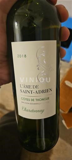 Languedoc a Roussillon Côtes de Thongue L'Âme de Saint-Adrien Chardonnay 2018