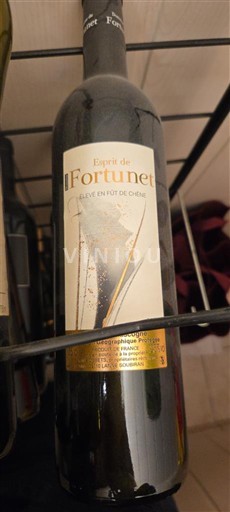 Zuidwest-Frankrijk Floc de Gascogne Esprit de Fortunet 2009