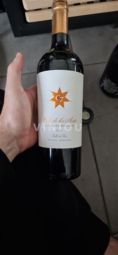 Mendoza Clos de los Siete 2020
