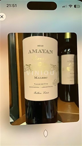 Mendoza Valle de Uco Amayan 2019