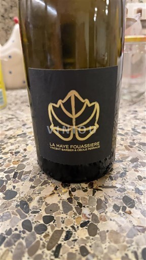 Vallée de la Loire Muscadet-sèvre-et-maine Vincent Caillé La Haye Fouassière 2022