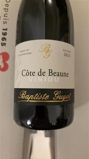 Bourgondië Côte-de-Beaune Baptiste Guyot Les Monières 2023