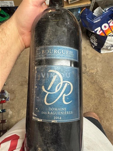 Valle del Loira Bourgueil Domaine S Raguenières 2014