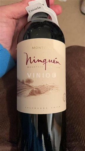 Dolina Rapel Dolina Colchagua MontGras Ninquén Mountain Vineyard Neleten.