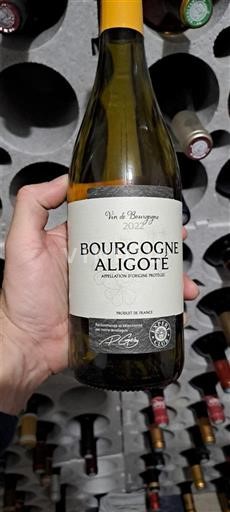 Bourgogne Bourgogne Aligoté Domaine Patrice Rion 2022