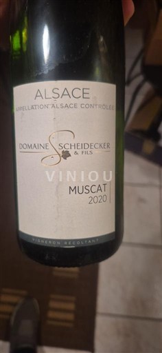 Elsass Domaine Scheidecker & Fils Muscat 2020