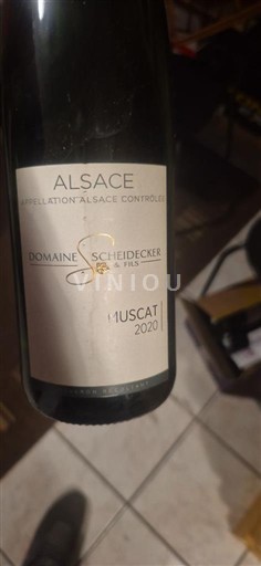 Alsace Domaine Scheidecker et Fils Muscat 2020