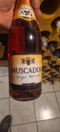 Dolina Loare Muscador Cépage Muscat Neleten.