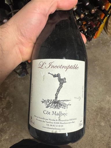 Dolina Loare Touraine Domaine Domainedeniau L’Incorruptible Neleten.