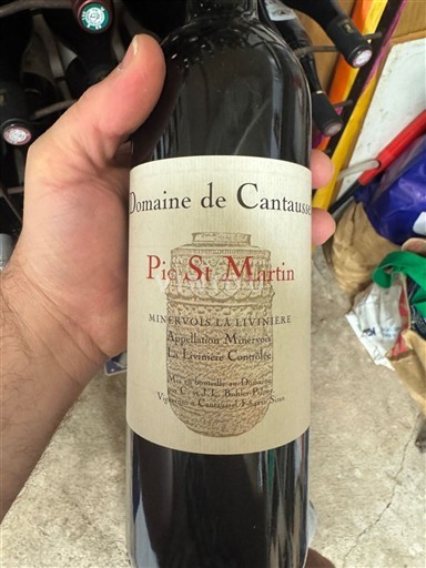 Languedoc Minervois-la-livinière Domaine Cantaussel Pic St Martin 2017