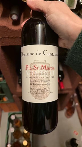 Languedoc Minervois-la-Livinière Domaine Cantaussel Pic St Martin 2017