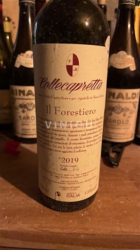 Umbria Wines Collecapretta Il Forestiero 2019