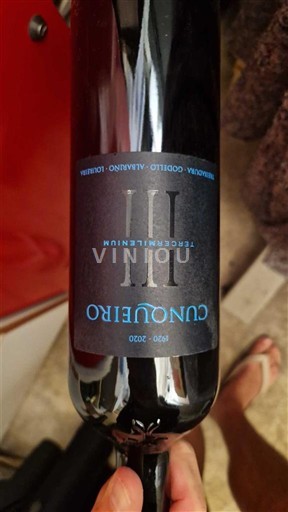 Galicien Ribeira Sacra Cunoüeïro III Treixadura, Brancellao, Bencibel 2020