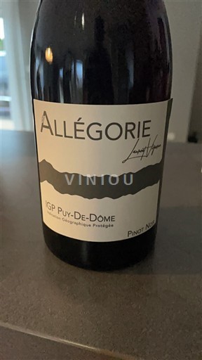 Thung lũng sông Loire Puy-de-Dôme Laurent Huyghe Allégorie Không niên vụ