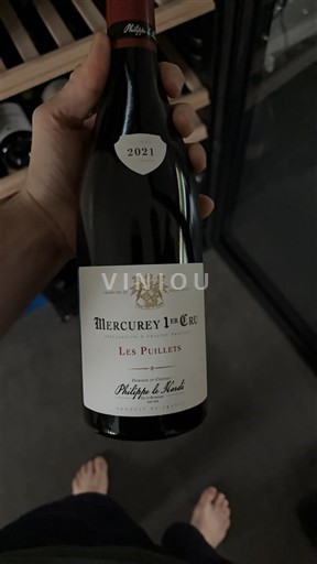 Bourgogne Premier Cru Philippe Le Hardi Les Puillets 2021
