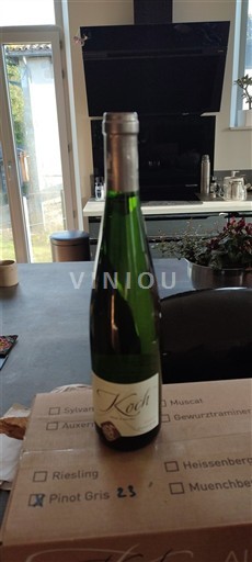 Elzas Pinot grigio Koch 2023