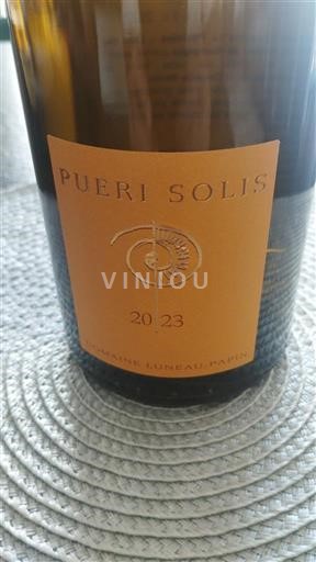 Vallée de la Loire Muscadet-sèvre-et-maine Domaine Luneau-Papin Pueri Solis 2023