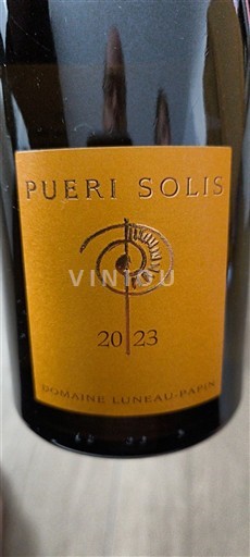 Loirevallei Muscadet-Sèvre-et-Maine Domaine Luneau-Papin Pueri Solis 2023