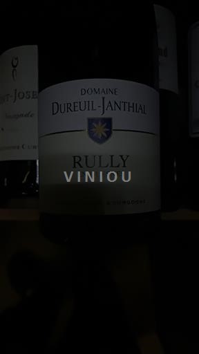 Bourgogne Rully Domaine Reuil-Janthial En Guesnes 2022