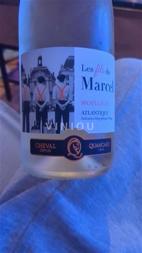 Akvitanien och Charentes Atlantique Cheval Quancard Les Fils de Marcel 2023