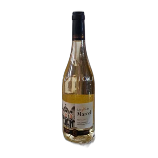 Aquitaine et Charentes Atlantique Cheval Quancard Les Fils de Marcel 2023