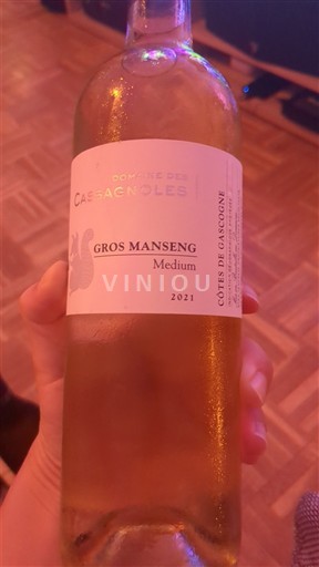 Sydvestfrankrig Côtes de Gascogne Domaine Des Cassagnoles Medium 2021