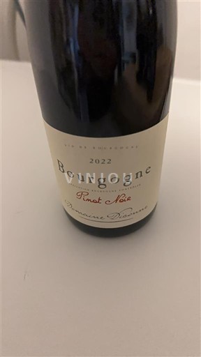 Bourgogne Domaine Damoy Pinot Noir 2022