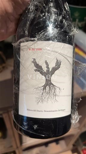 Castile and León Ribera del Duero Bodegas Psi PSI 2018