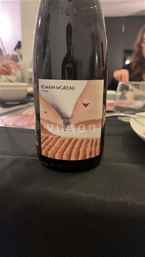 Dolina Loare Touraine Romain Moreau Neleten.