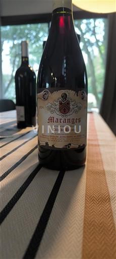 Bourgogne Maranges Cave de Mazenay Côte de Beaune 2024