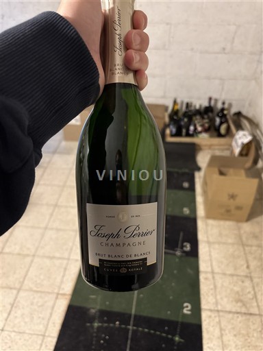 Spumanti Blanc brut Cuvée Royale Brut Blanc de Blancs Joseph Perrier Non millésimé Francia Champagne AOC