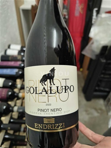 Trentino-Alto Adige Alto Adige Endrizzi GolaLupo 2022