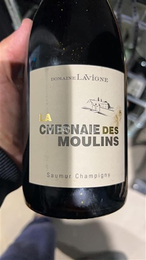 Valle del Loira Saumur-Champigny Domaine Lavigne La Chesnaie des Moulins 2020