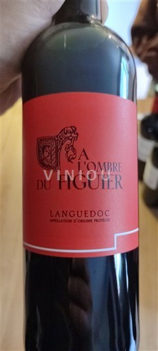 Languedoc A l'Ombre du Figuier 2024
