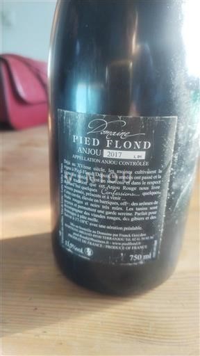 Loire Valley Anjou Domaine Pied Flond 2017