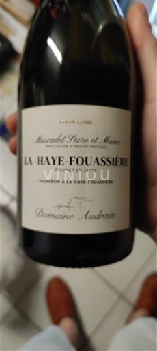 Vallée de la Loire Muscadet-sèvre-et-maine Domaine Audrain La Haye-Fouassière 2020