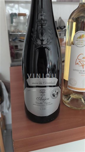 Valle del Loira Anjou Domaine S Alexandrins 2022