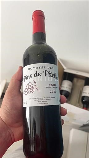 Sudoeste Domaine S Pins de Pitcha 2022