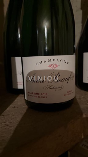 Champagne Champagner André Beaufort Ambonnay Blanc de Blancs 2010