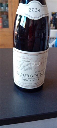 Borgoña Pascal Mellenotte 2024