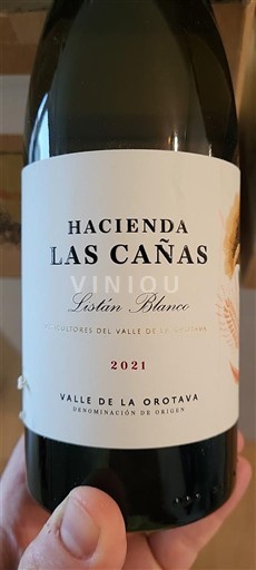 Kanarieöarna Valle de la Orotava Hacienda Las Cañas Listán Blanco 2021