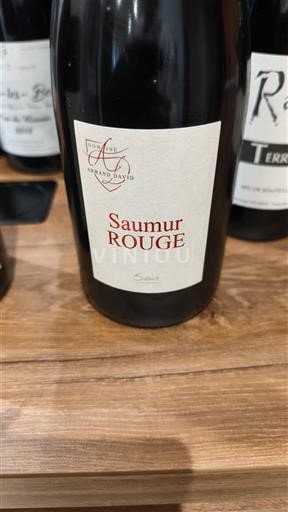 Valle del Loira Saumur Domaine Arnaud David Sin añada
