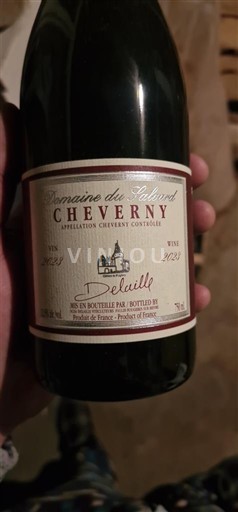 Dolina Loare Cheverny Domaine Salvard 2021