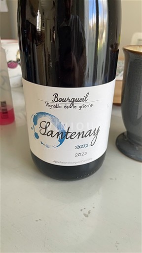 Borgogna Santenay Vignoble de la grioche Santenay 2023