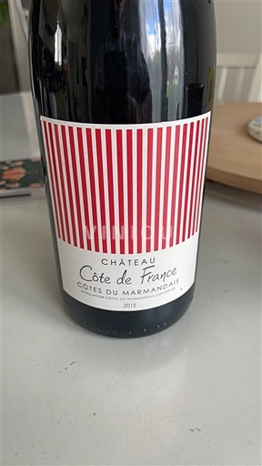 Sydvestfrankrig Côtes-du-marmandais Château Côte de France 2015