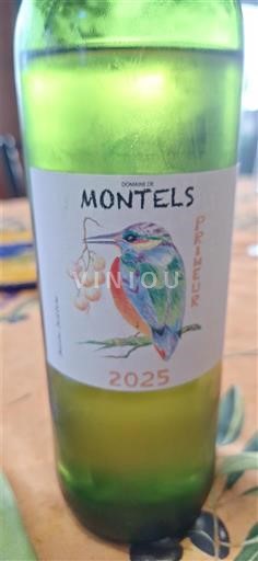 Sydvestfrankrig Côtes du Tarn Domaine Montels Primeur 2025